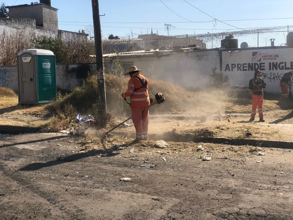 Medio ambiente municipal coordina brigada de limpieza y mantenimiento en Loma Bella