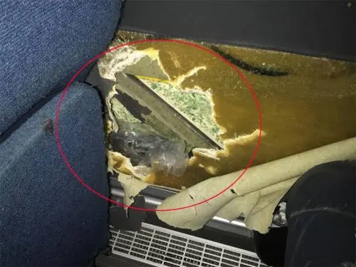 Asegura Semar en Tamaulipas 981 mil dólares ocultos en autobús
