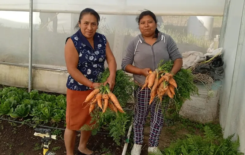 Impulsa SEDIF el programa “Salud y Bienestar Comunitario” en zonas de alta marginación