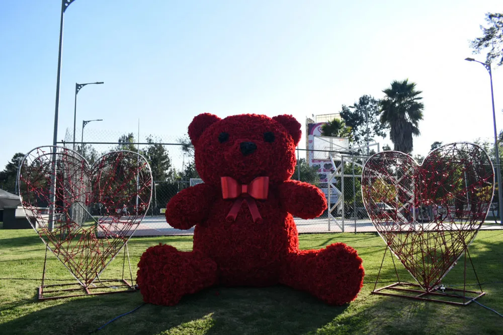 Festival del Amor