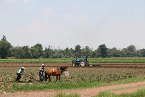 Organizaciones Campesinas proponen a Pedro Ponce para Desarrollo Rural