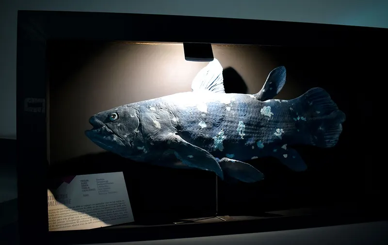 museo-de-la-evolucion-tehuacan