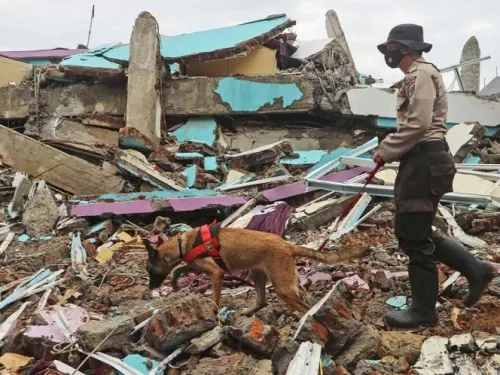 Suman 78 muertos por sismo en Indonesia