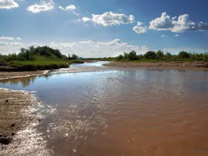 Grupo México causa nuevo derrame intencional en Sonora