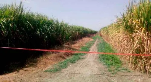 Abandonan dos cuerpos con signos de tortura en Izúcar de Matamorros
