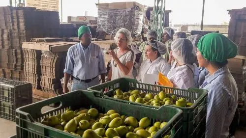 Evalúa Canadá sistema mexicano de inocuidad para producción de vegetales frescos