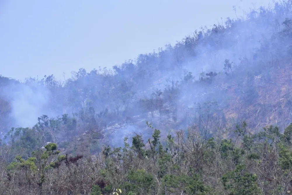 Presenta Medio Ambiente siete denuncias por provocar incendios forestales en Puebla