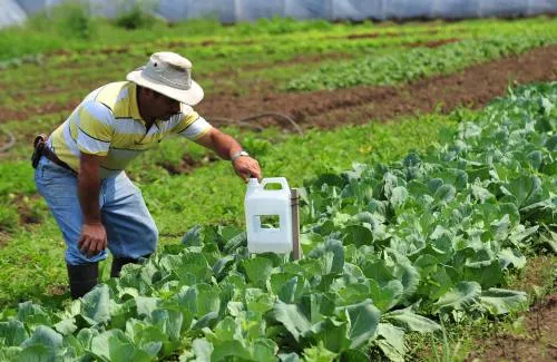 UPAEP no ha entregado censo agropecuario y rural al Ayuntamiento