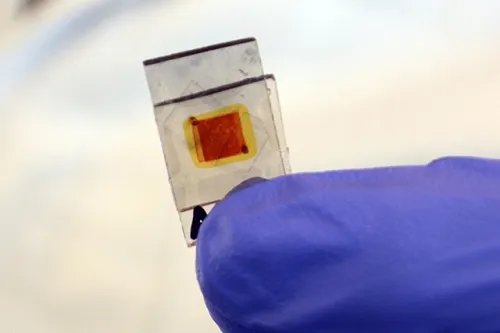 A través de la ciencia de frontera, la BUAP se suma a la generación de conocimiento novedoso