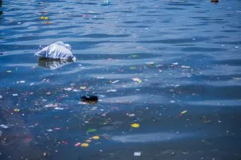 Secretaría del Medio Ambiente municipal sancionará a quienes tiren escombros en el río Atoyac