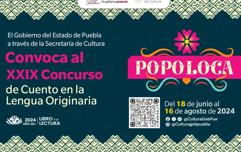 Imagen 7
