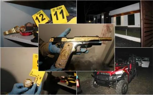 Catean finca en Cadereyta; decomisan más de 25 mdp en armas, relojes y animales exóticos