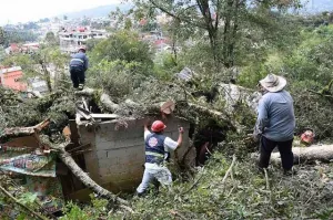 Cae árbol sobre vivienda en Zacapoaxtla tras lluvias en el municipio