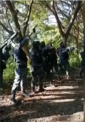 Captura de Pantalla