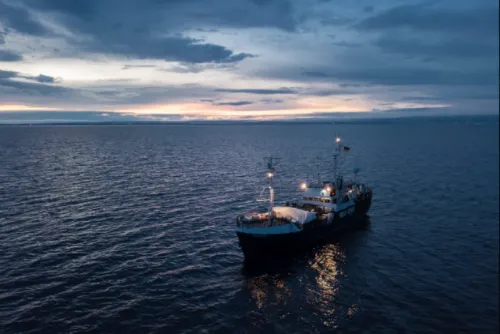 Barco Alan Kurdi ingresa en aguas italianas con 88 migrantes