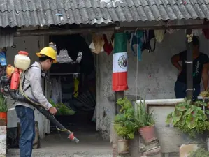 Alerta en Zihuatanejo por posible brote de zika
