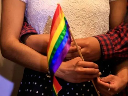 Homosexuales tienen derecho a reproducción asistida: SCJN
