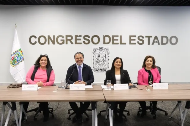 la Comisión de Organizaciones No Gubernamentales