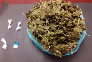 Aseguran a La Güera Rusa por posesión de droga