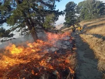 Actualmente se encuentran activos incendios forestales en Tetela de Ocampo y Aquixtla