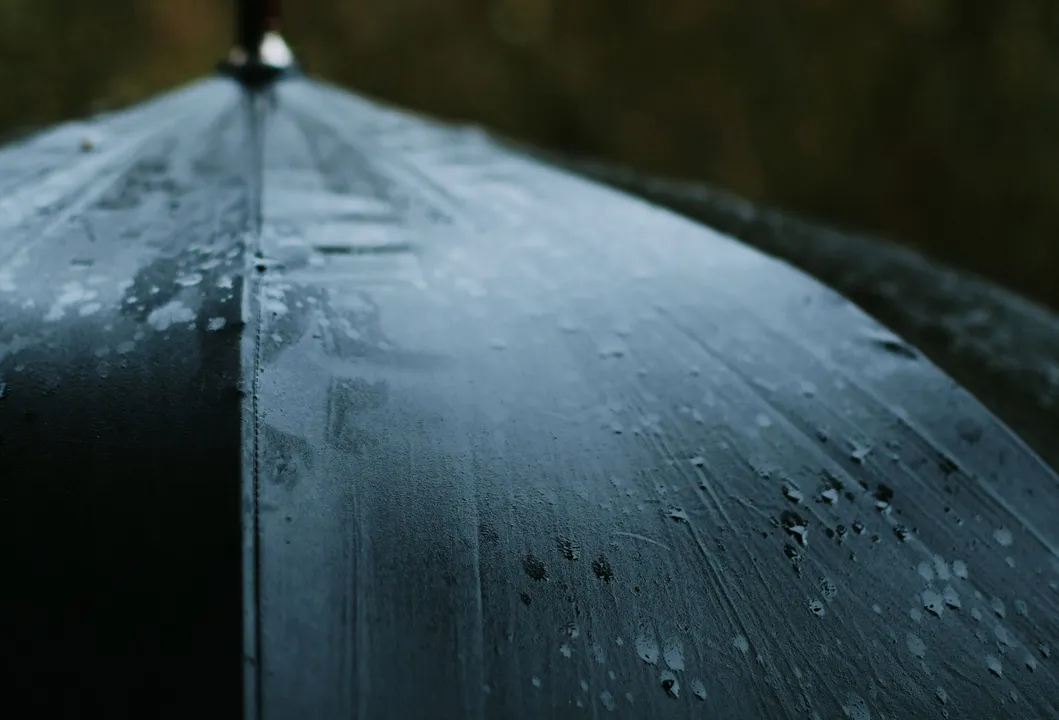 Foto: Darya Grey_Owl / Pexels
