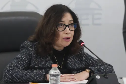 IEE ve viable redistritación y reducción de porcentaje de firmas de independientes