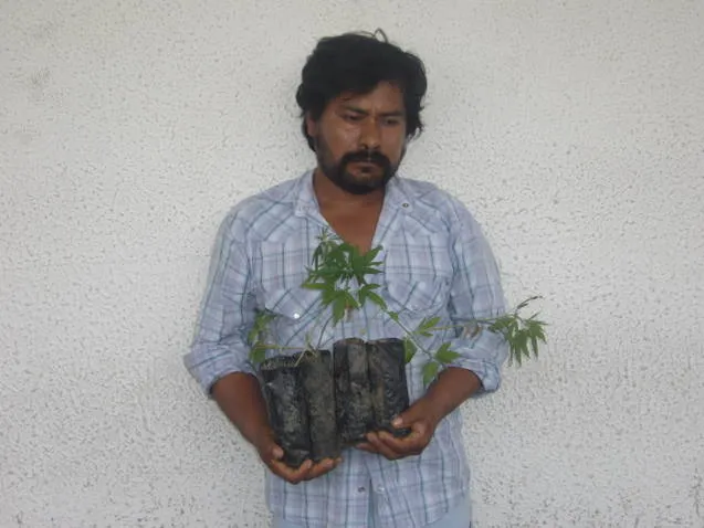 Los detuvieron con marihuana y cocaína; uno es menor de edad