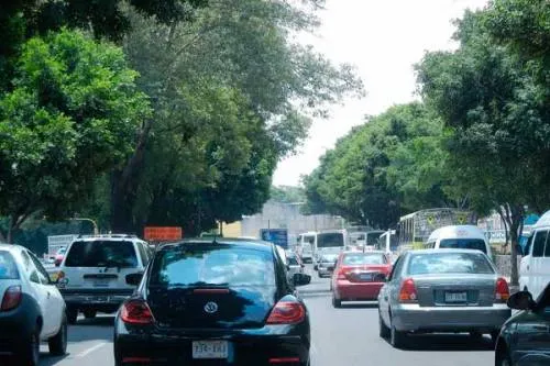 Entrega Ayuntamiento permisos de uso de suelo para construcción de línea 3 de RUTA