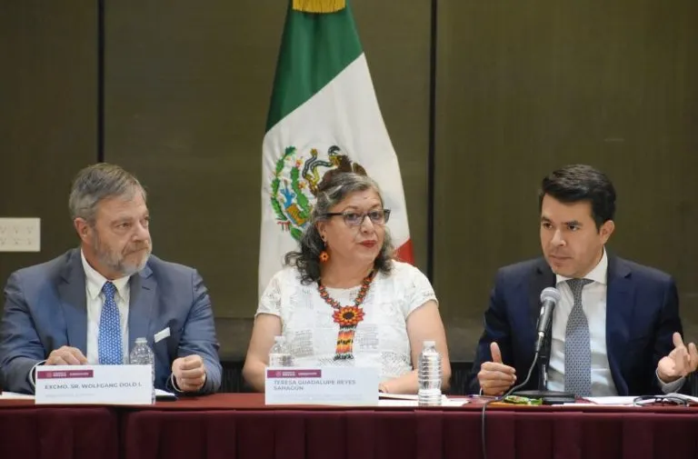 Comisión Nacional de Búsqueda, sin búsquedas y buscando