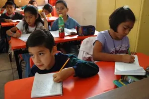 Parásitos en los niños disminuyen aprendizaje: especialista