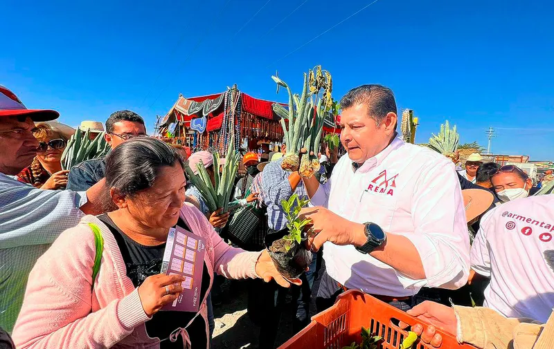 alejandro-armenta-tepexi-plantas-maguey
