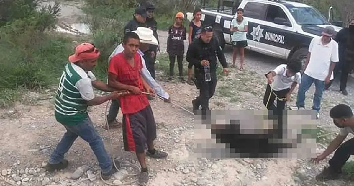 Identificados los responsables de matar a pequeño oso negro en Coahuila; podrían pasar hasta 6 años en la cárcel