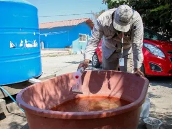 Hay 77 municipios de Puebla con casos de dengue: Secretaría de Salud