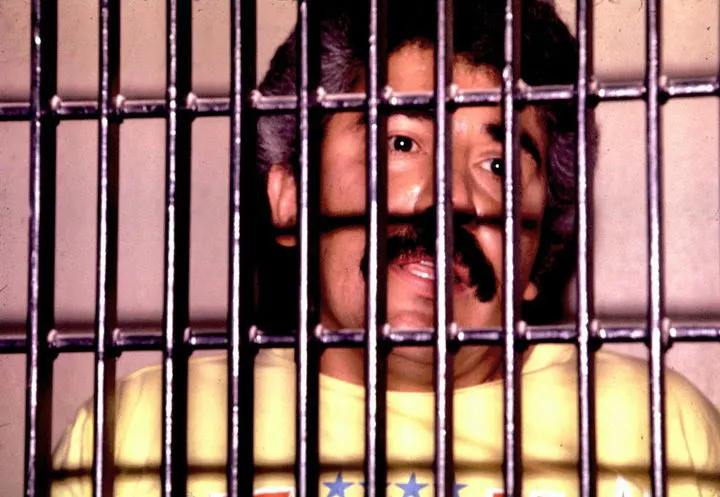 Imagen del artículo