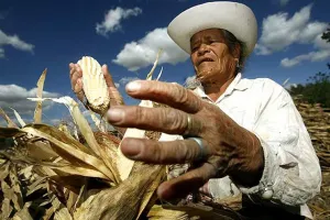 FNA lanza ultimátum al gobierno por falta de apoyo al campo