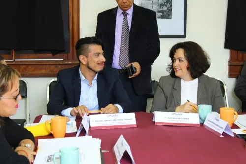 Buscan modificar Programa de Artistas Urbanos