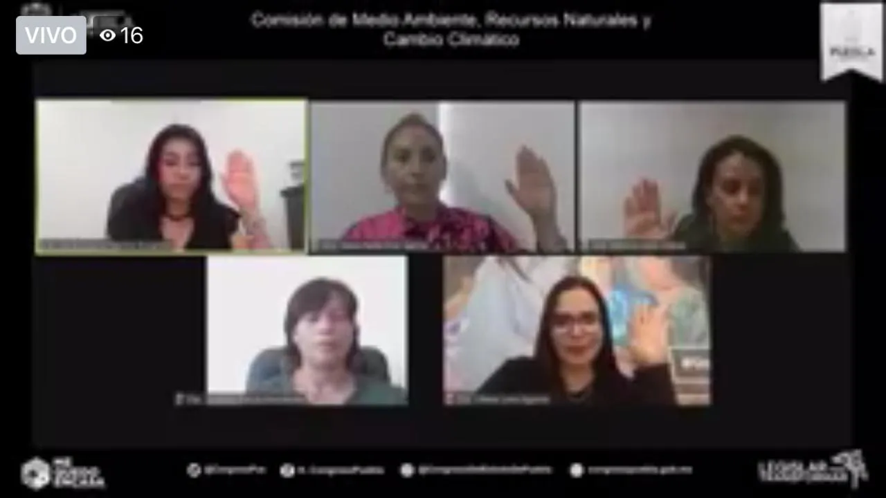 Aprueban Decreto para reformar y adicionar Constitución en materia de movilidad y seguridad
