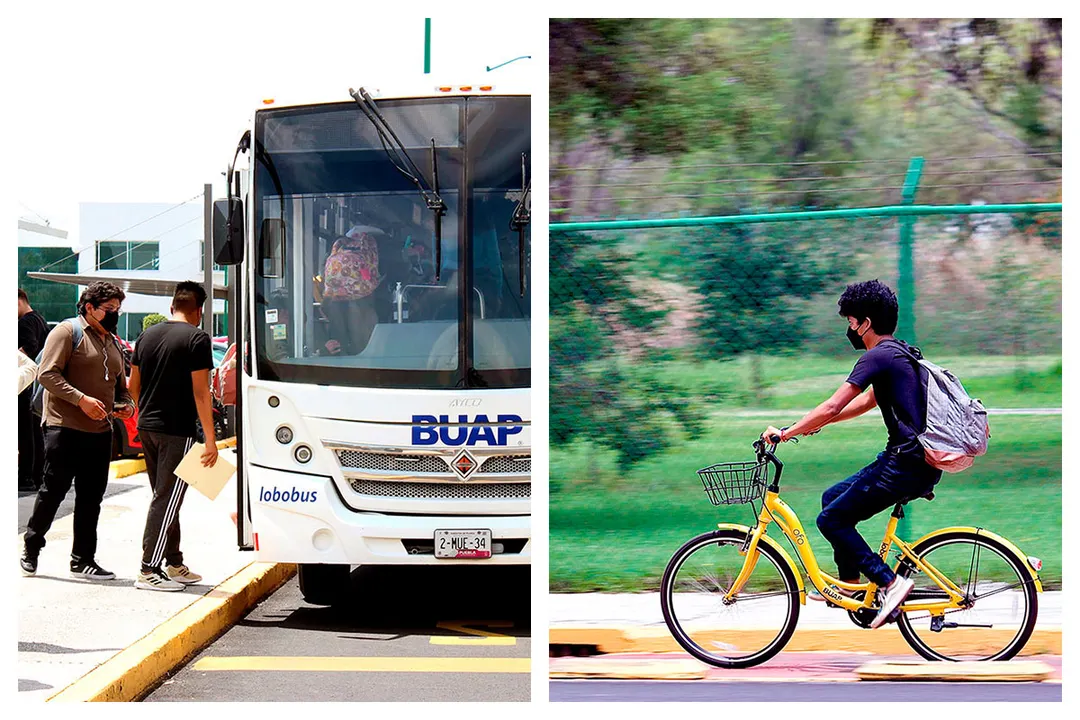 Buap Stu Sistema De Transporte Universitario Lobobici