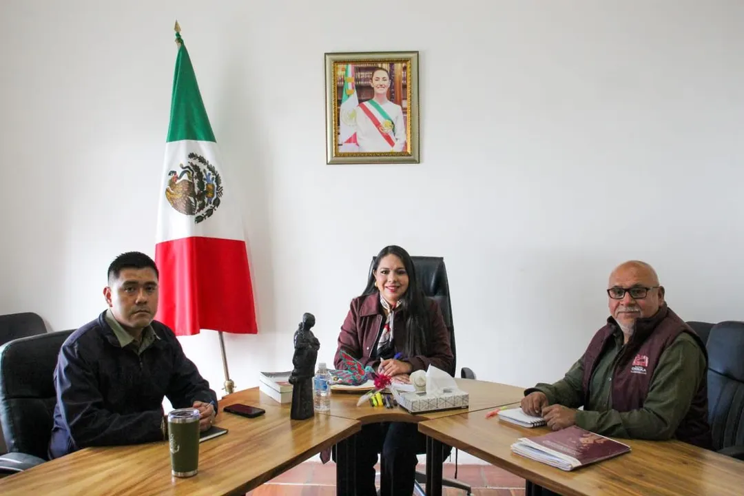 Sp Cholula Mesa De Seguridad