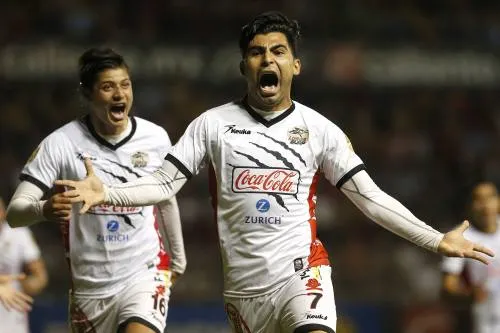 ¡LOBOS DE PRIMERA!