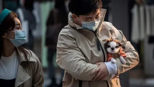 China quita a perros y gatos de la lista de animales comestibles