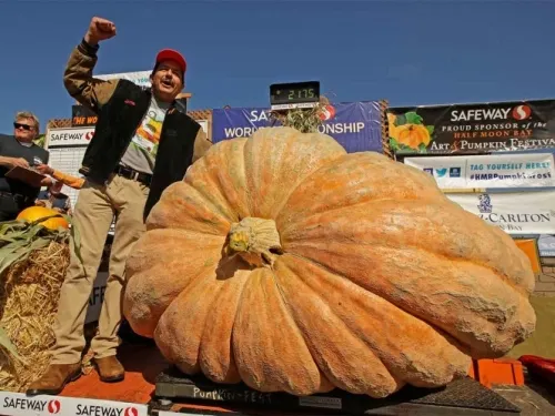Calabaza de casi una tonelada ganó concurso en California