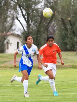 Franjitas jugarán la Copa de Campeones