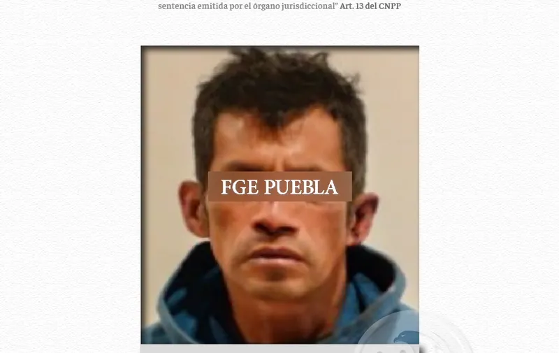 Imagen del artículo