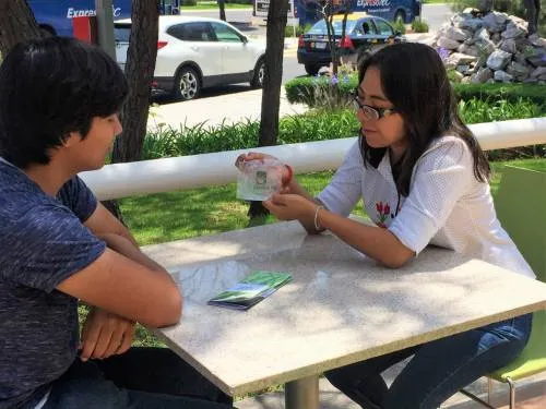 “Verapatch”, un parche para la sanación de heridas