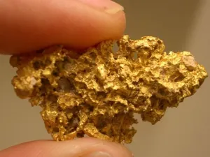Crece oro en árboles de Australia