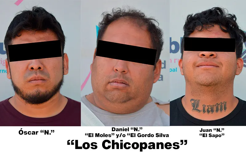 Imagen 2