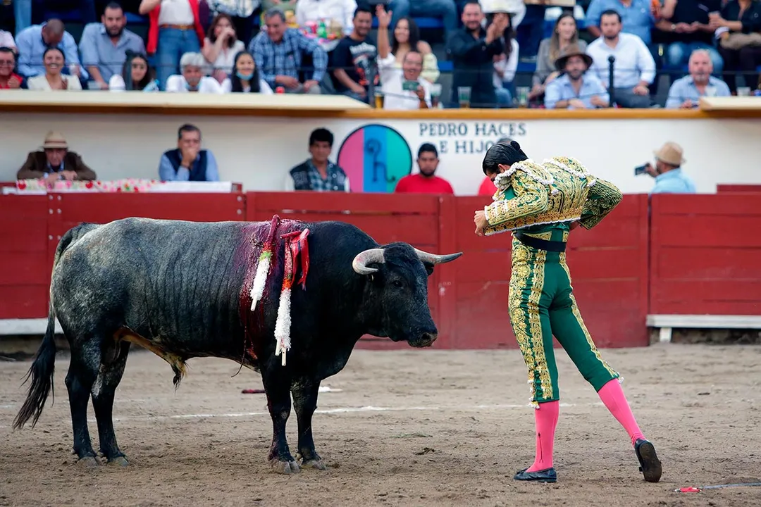 Corridas De Toros El Relicario
