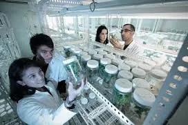 Estudiantes poblanos van al Encuentro Nacional de Jóvenes Investigadores