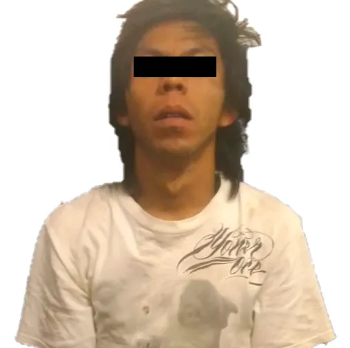 hector-n
